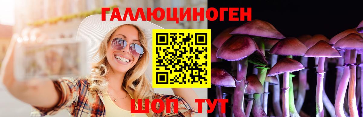 Галлюциногенные грибы мухоморы Унеча