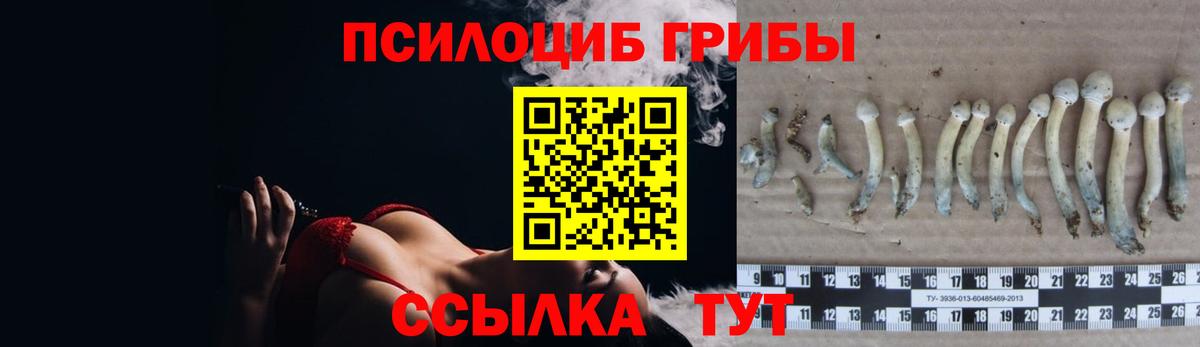 Псилоцибиновые грибы MAGIC MUSHROOMS  Вход с VPN  Унеча  Псилоцибиновые грибы Magic Shrooms 